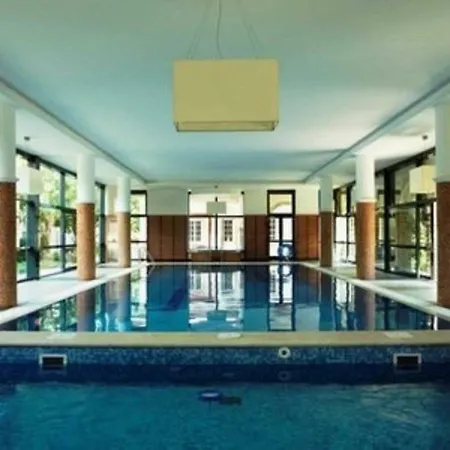 Wellness